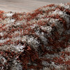 Dalyn Arturro AT1 Paprika Shag Area Rugs