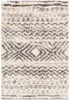 Surya Rhapsody RHA-1034 Global Machine Woven Area Rugs