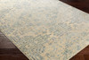 Surya Serene SRE-1016 Traditional Machine Woven Area Rugs