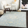 Livabliss Seasoned Treasures SDT-2306 Traditional Machine Woven Area Rugs