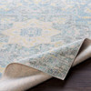 Livabliss Seasoned Treasures SDT-2306 Traditional Machine Woven Area Rugs