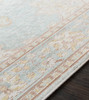 Livabliss Antioch AIC-2326 Traditional Machine Woven Area Rugs