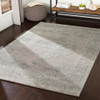 Livabliss Aesop ASP-2317 Traditional Machine Woven Area Rugs