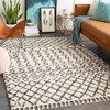 Livabliss Berber Shag BBE-2309 Global Machine Woven Area Rugs