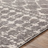 Livabliss Chester CHE-2321 Global Machine Woven Area Rugs