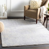 Surya Presidential PDT-2316 Modern Machine Woven Area Rugs