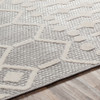 Livabliss Big Sur BSR-2310 Global Machine Woven Area Rugs