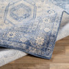 Livabliss Indigo IGO-2323 Traditional Machine Woven Area Rugs
