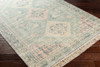 Livabliss Zainab ZAI-2316 Traditional Hand Woven Area Rugs