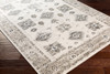 Surya Skagen SKG-2308 Traditional Machine Woven Area Rugs