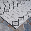 Couristan Afuera Histone Hadron Indoor/outdoor Area Rugs