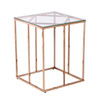 Nicholance Contemporary End Table W/ Glass Top