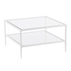 Keller Square Metal/glass Open Shelf Cocktail Table - Ck3710
