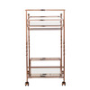 Ivers Metal Mirrored Bar Cart - Champagne