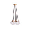 Lettly Contemporary 5-light Pendant
