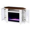 Dilvon Color Changing Fireplace W/ Media Storage