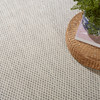 Nourison Courtyard Cou01 Ivory Silver Area Rugs