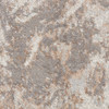 Nourison Elation Etn02 Ivory Grey Area Rugs