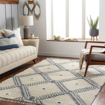 Livabliss Bedouin BDO-2313 Global Hand Woven Area Rugs