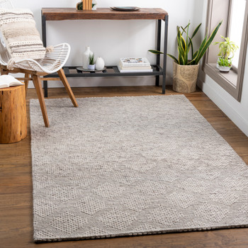 Surya Colarado CDO-2301 Modern Hand Woven Area Rugs