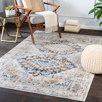 Livabliss Porto POO-2310 Traditional Machine Woven Area Rugs