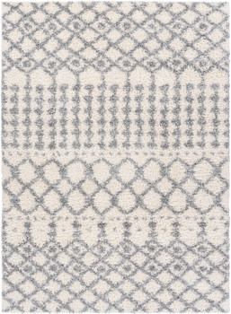 Surya Deluxe Shag DXS-2312 Global Machine Woven Area Rugs