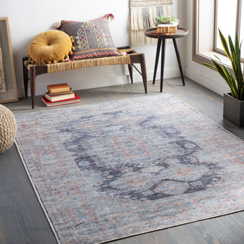 Livabliss Amelie AML-2314 Traditional Machine Woven Area Rugs