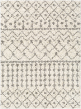 Surya Taza Shag TZS-2338 Global Machine Woven Area Rugs