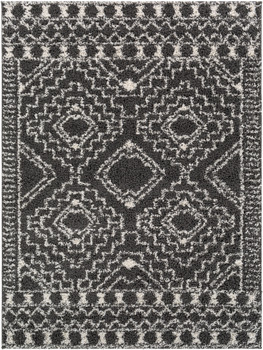 Surya Taza Shag TZS-2337 Global Machine Woven Area Rugs