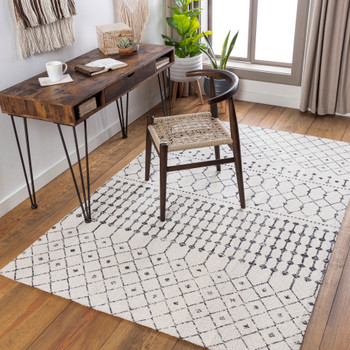 Livabliss Amsterdam AMS-1027 Global Hand Woven Area Rugs