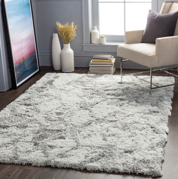 Livabliss Alta Shag ASG-2302 Modern Machine Woven Area Rugs