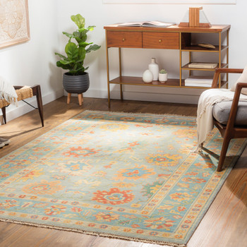 Livabliss Hillcrest HIL-9045 Traditional Hand Knotted Area Rugs