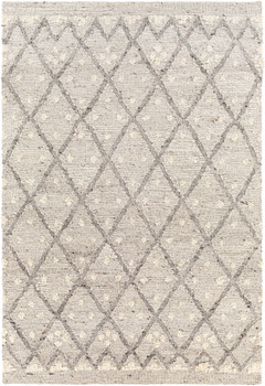 Surya Bremen BEN-2305 Global Hand Woven Area Rugs