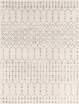 Surya Tevazu TVZ-2382 Global Machine Woven Area Rugs