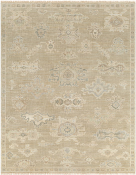 Surya Antalya AAT-2305  Hand Knotted Area Rugs