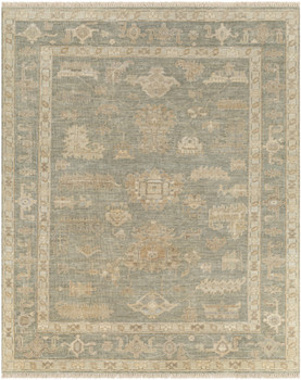 Surya Antalya AAT-2306  Hand Knotted Area Rugs