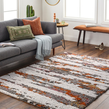 Livabliss Polaris PRI-2305  Machine Woven Area Rugs