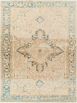 Surya Antique One Of A Kind AOOAK-1206  Hand Knotted - 7'4" X 9'11" Rectangle Area Rug