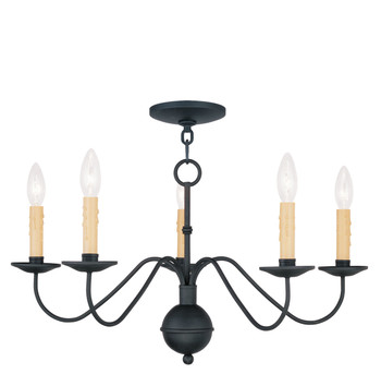 Livex Lighting 5 Light Black Chandelier - 4495-04