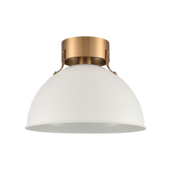 Elk Home Zayne 1-Light Semi Flush Mount - EC89724/1