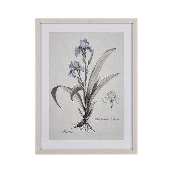 Elk Home Iris Botanic Wall Art - S0056-10633