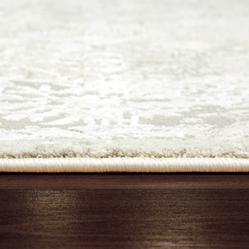 Dynamic Quartz Machine-made 27073 Ivory Area Rugs