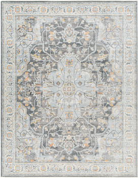 Surya Hassler HSL-2305 Traditional Machine Woven Area Rugs