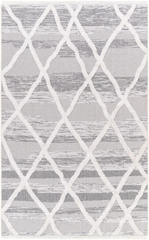 Livabliss Morocotton MCT-2306 Global Machine Woven Area Rugs