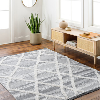 Livabliss Morocotton MCT-2306 Global Machine Woven Area Rugs
