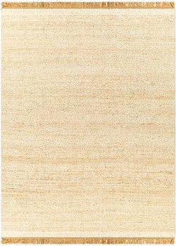Livabliss Aylin AYI-2300 Cottage Hand Woven Area Rugs