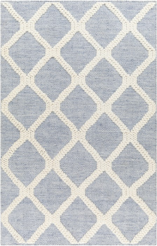 Livabliss Nina NNA-2303 Modern Hand Woven Area Rugs