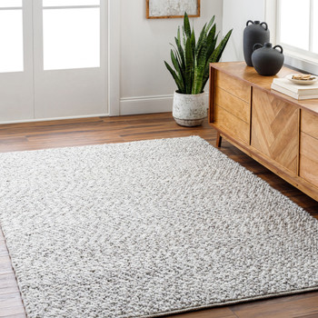 Livabliss Vesta VST-2302 Modern Hand Woven Area Rugs