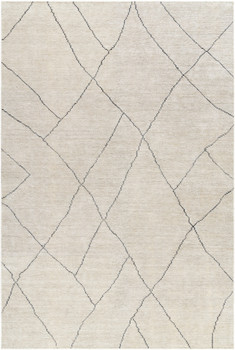 Livabliss Nalan NYL-2303 Modern Hand Woven Area Rugs