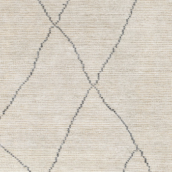 Livabliss Nalan NYL-2303 Modern Hand Woven Area Rugs